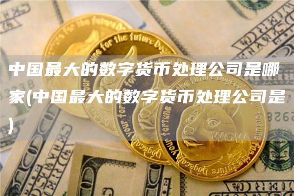 中国最大的数字货币处理公司是哪家 - 中国最大的数字货币处理公司是
